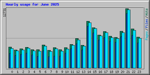 Hourly usage for June 2025